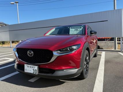 デミオ15s