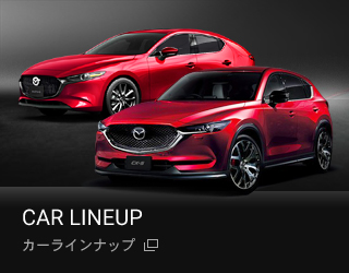 カーラインナップ